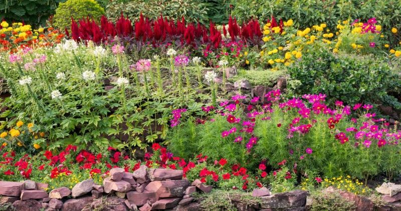 Create A Tiered Garden Design