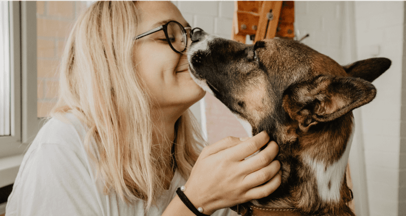 Calm Greeting Behavior