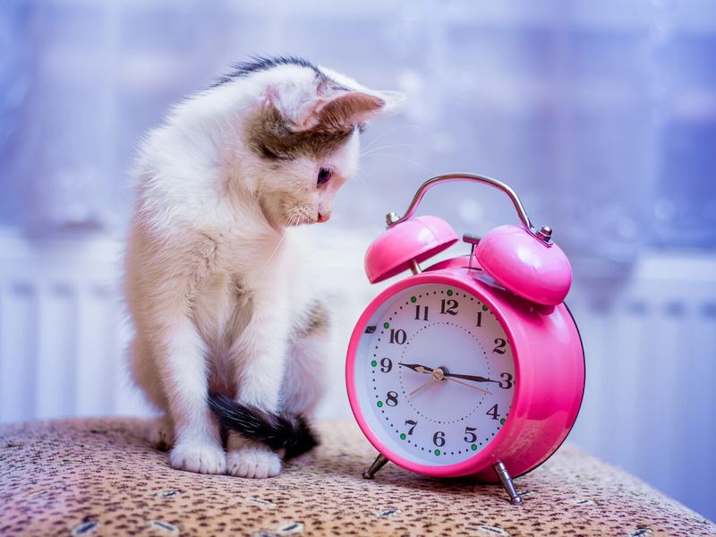 The Magic of Routine