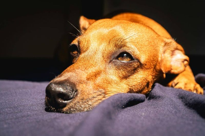 The Relaxed Blink