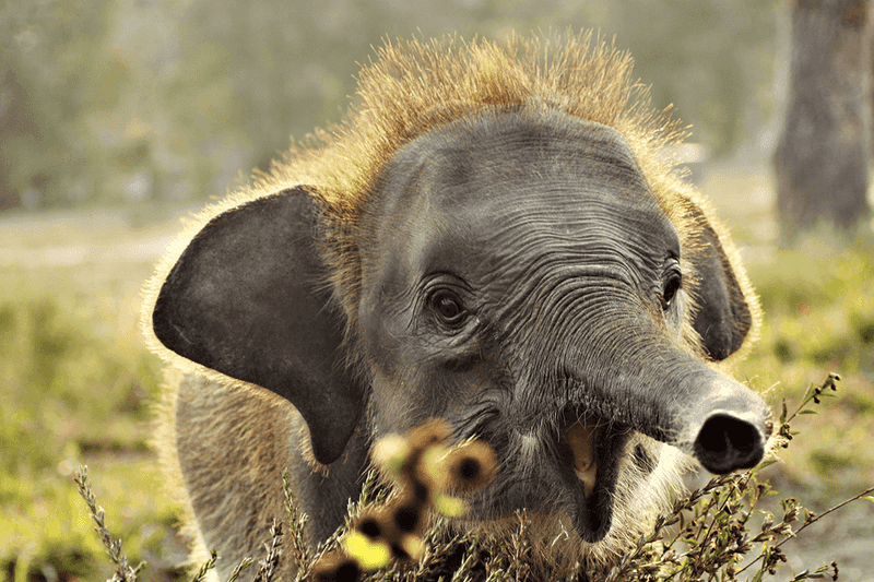 The Surprising Impact Of Small Actions