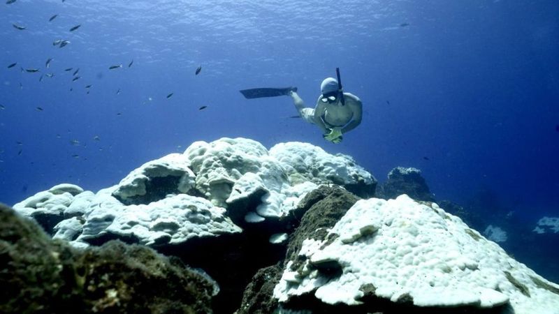 Stronger El Niño Events