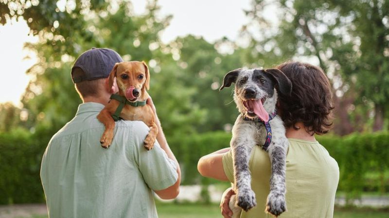 Stock Up On Species-Specific Supplies