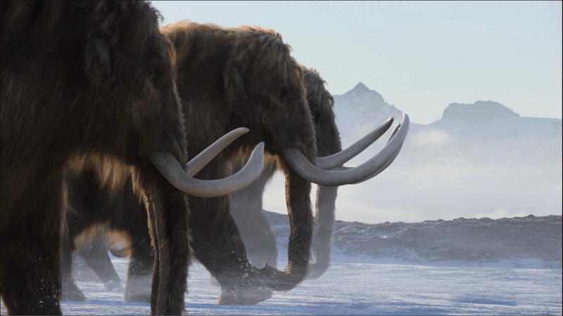 Mystery Of The Missing Predators