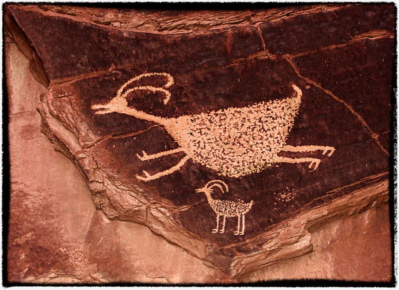 Pronghorn's Role In Native American Culture
