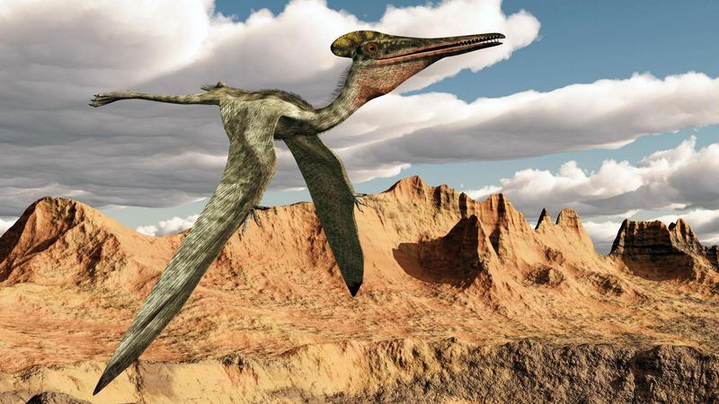How Pterosaur Fur Could Have Affected Their Social Behavior