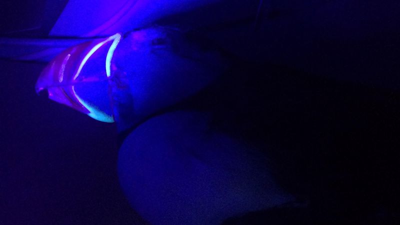 Puffins Glow Under UV Light