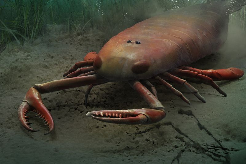 Jaekelopterus