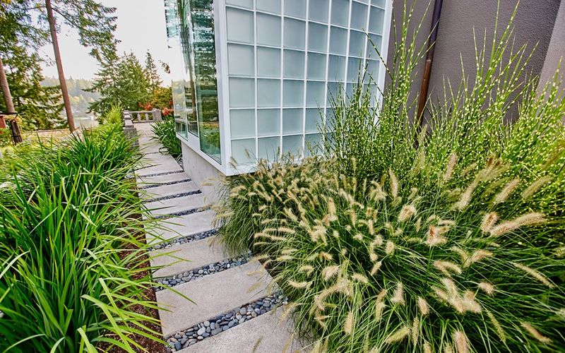 Spiky Ornamental Grasses