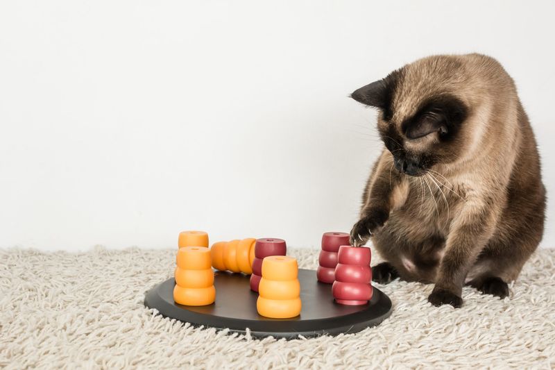 Skipping Playtime Sessions