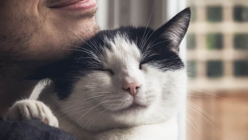 Cuddle Enthusiasts