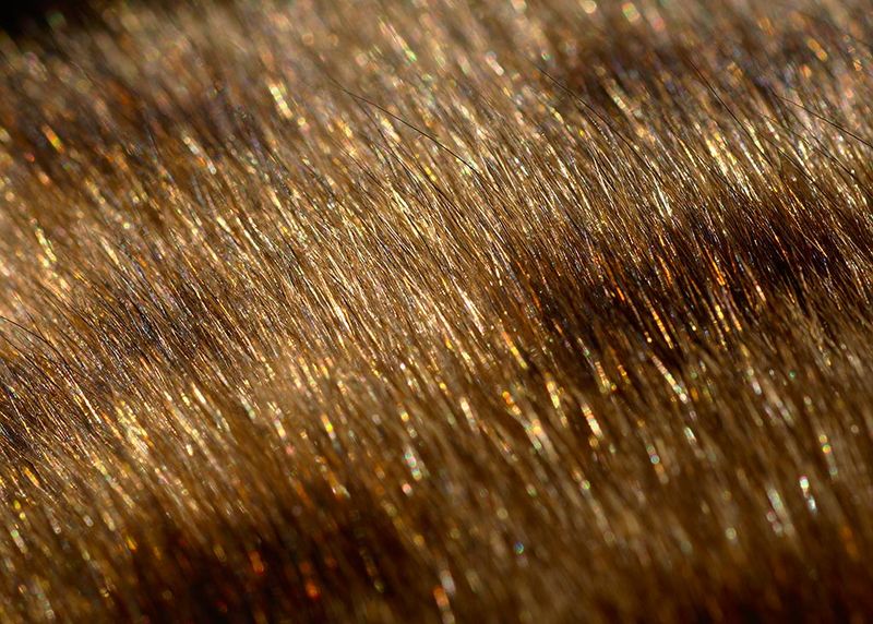 Glittering Fur Effect