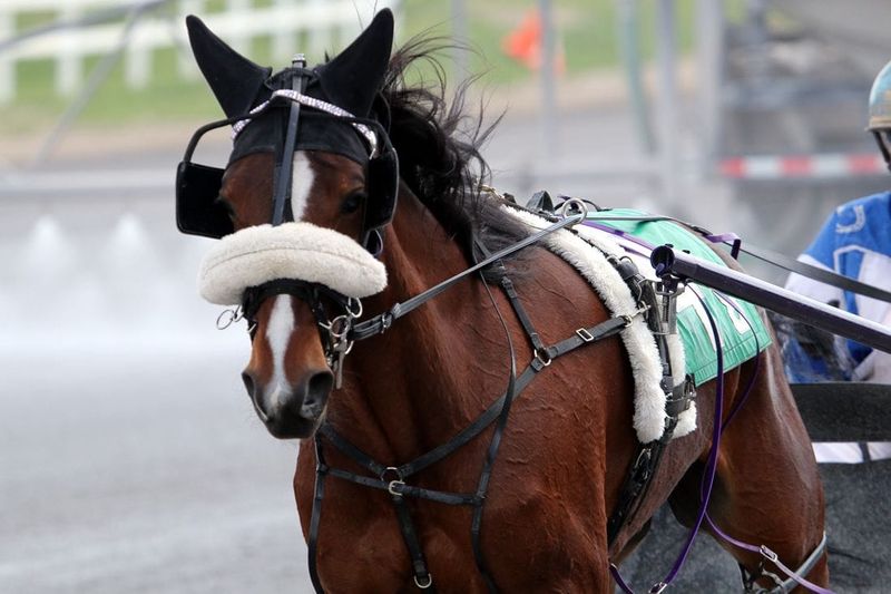 Standardbred Trotting Champions