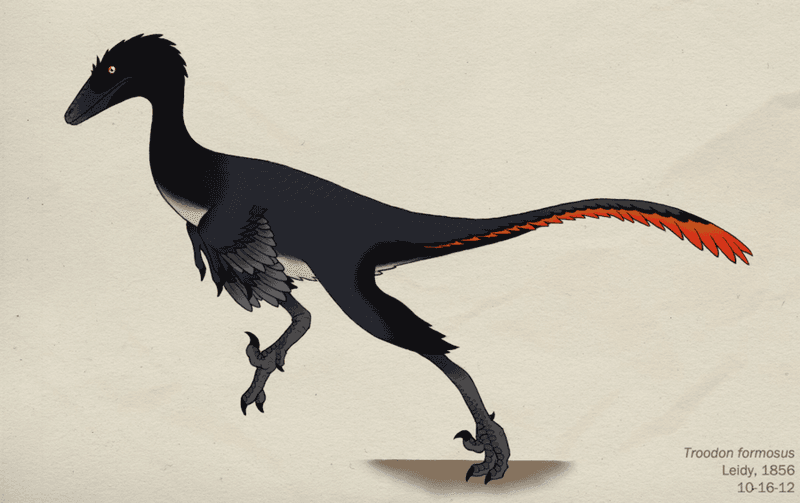 Troodon