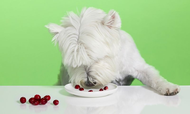 Cranberries