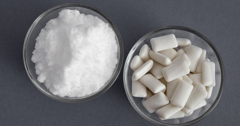 Xylitol - Sweet Poison