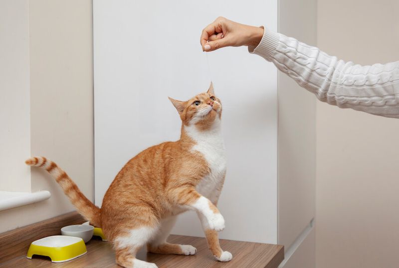 Reward Gentle Behavior