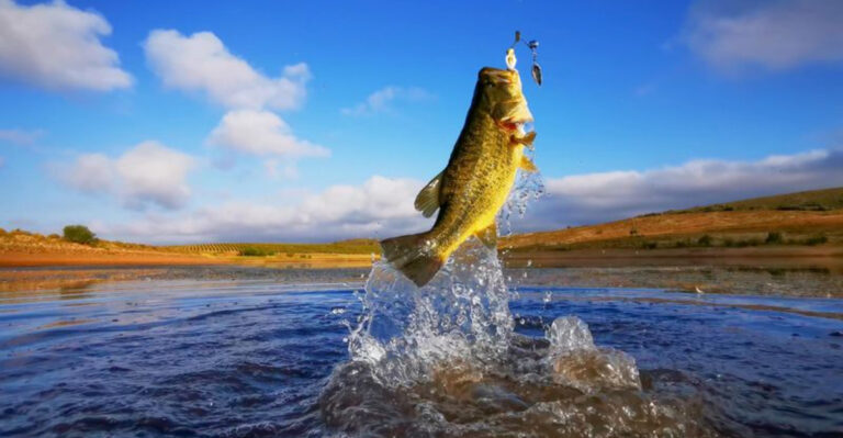 Record-Breaking Bass Caught In A Texas Lake Shatters Previous Angling Records