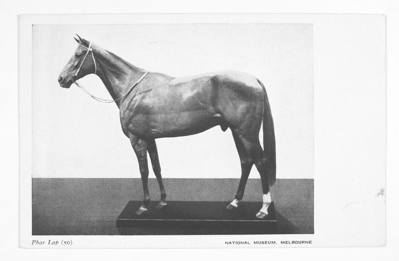 Phar Lap: The Wonder From Down Under