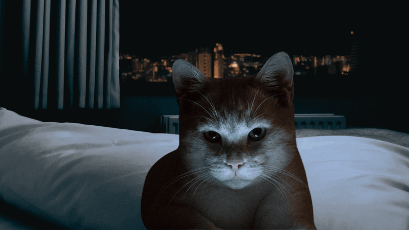 Night-Time Hyperactivity