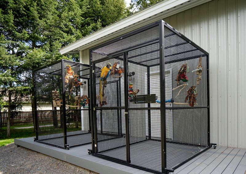 Cage Size Rules Are Commonly Underestimated