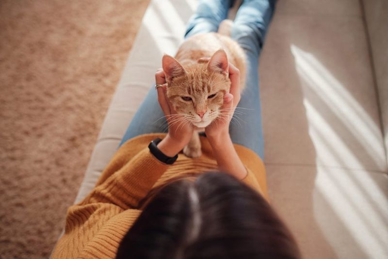 Adjusting Behavior When You're Stressed