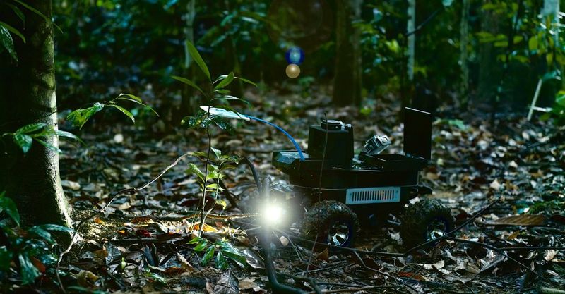 Future Research On Amazon's Biodiversity