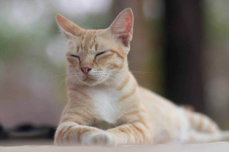 Master The Art Of Slow Blinking