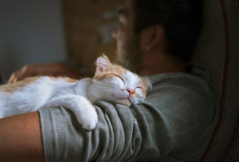 The Silent Connection: Cats And Their Owners' Energy