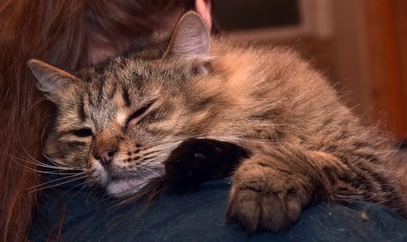 Comforting You During Illness