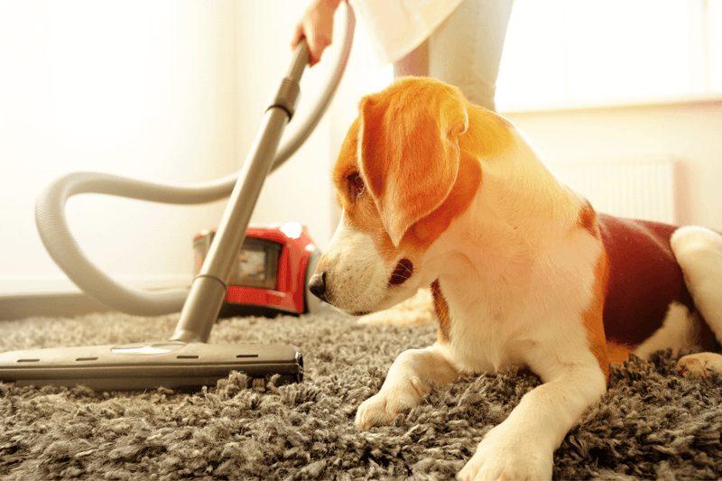 Exposure To Household Appliances