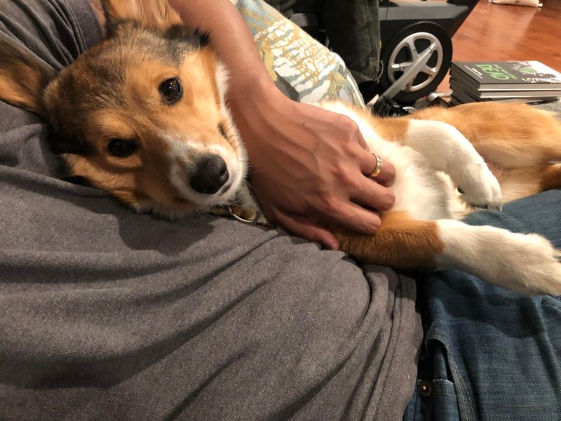 Cuddling After Eating
