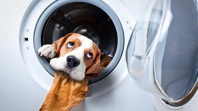 Tumble Dryer Technique