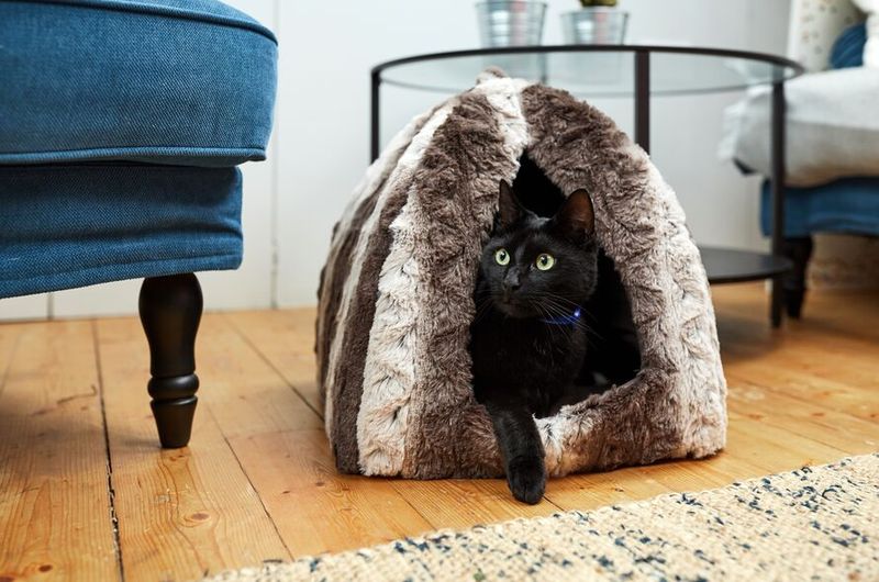 Providing Inadequate Hiding Places