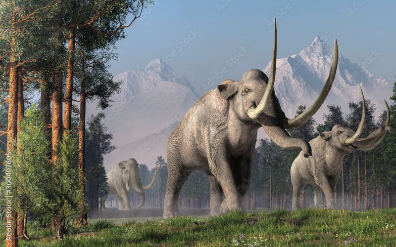 Columbian Mammoth