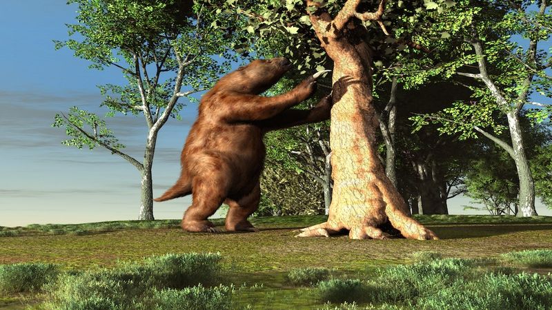 Giant Ground Sloths In Appalachia
