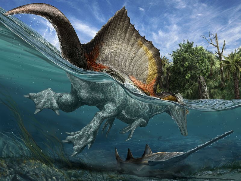 Aquatic Dinosaur