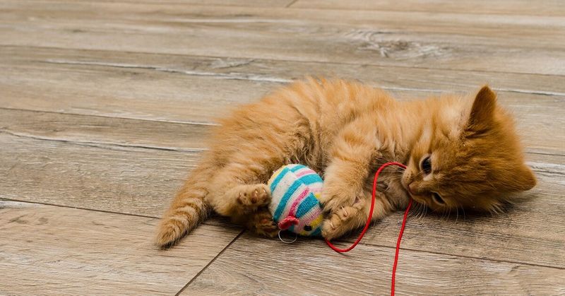The Calming Power Of Play