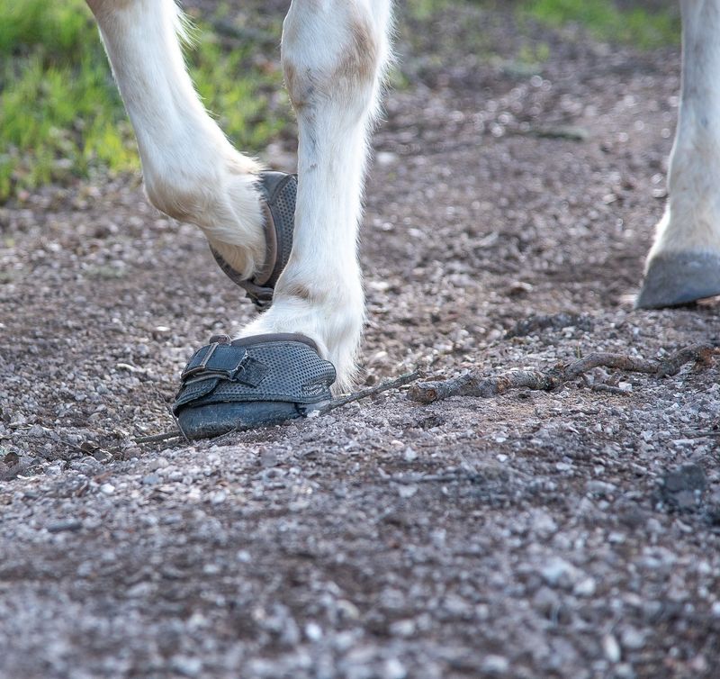 Limit Exposure To Hard, Uneven Ground
