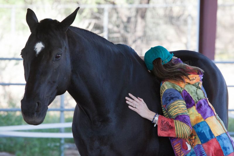 Learn To Read Equine Body Language