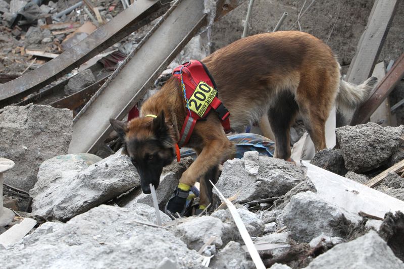 Search And Rescue Heroes