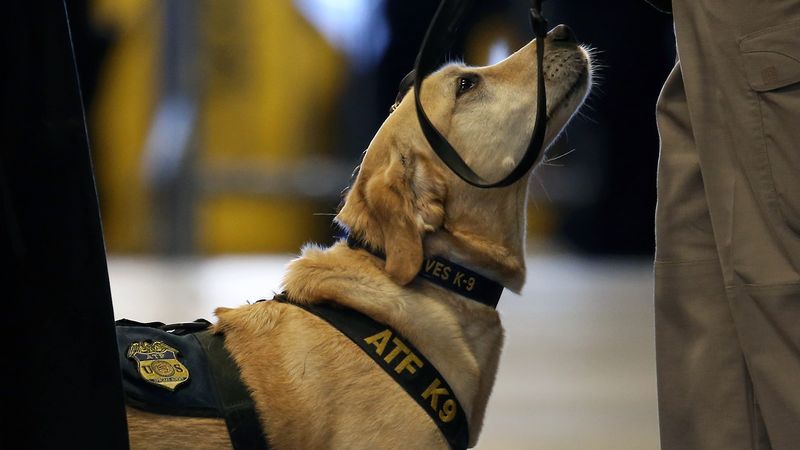 Narcotics Detection Units