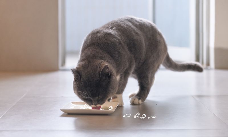 Digestive Upset
