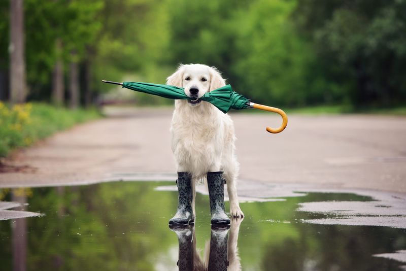Sensing Weather Changes