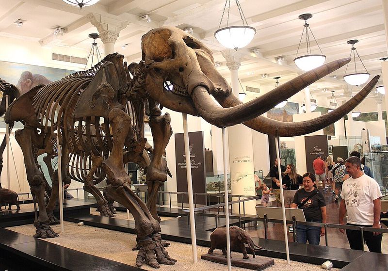 Scientific Sleuthing: How We Know What We Know