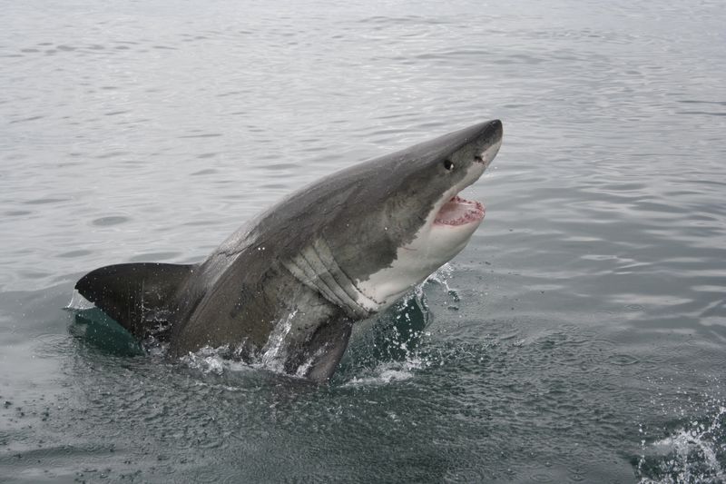 Climate Change Alters Habitats