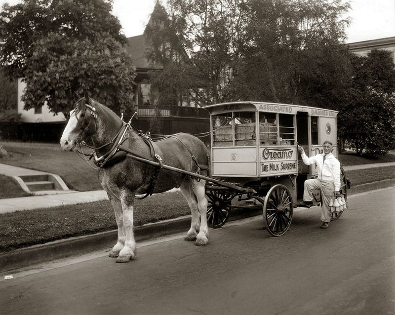 Milk Delivery Horse