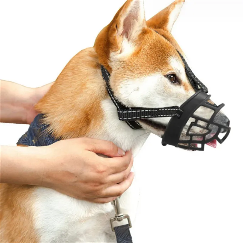 Safety First: Preventing Dog Bites And Injuries
