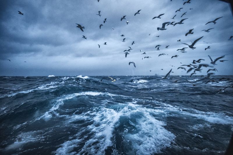 Gulf Of Mexico Crossing Dangers