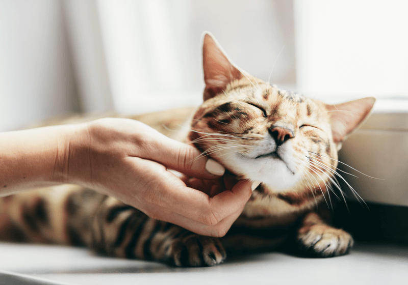 Sign #3: You're Dealing With Stress Or Anxiety